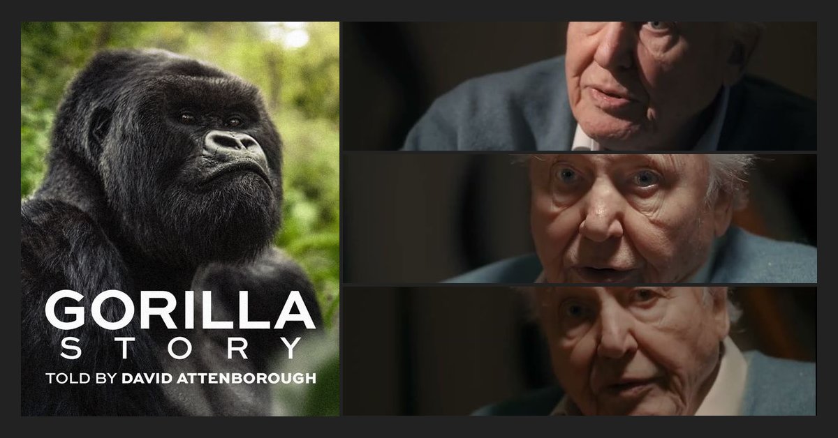 I Was Ready to Dismiss Another Nature Doc... Then David Attenborough’s Final Gorilla Scene Broke Me Completely